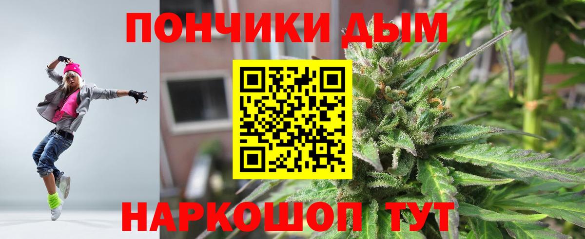 Конопля гибрид Североуральск
